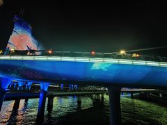 -演武大桥观景平台