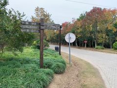 -上海海湾国家森林公园