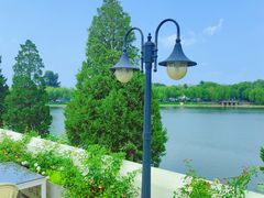 -素心小筑(后沙裕镇店)