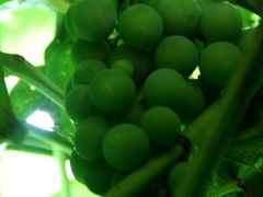 -白渔泡湿地公园