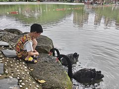 -珠海圆明新园