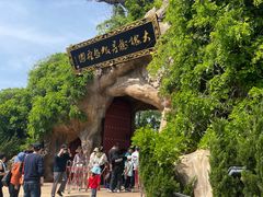 -大槐树寻根祭祖园