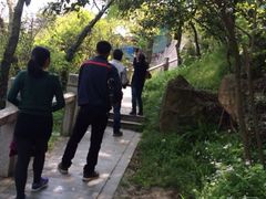 iphone_upload_pic-灵岩山风景区