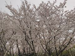 -白塘生态植物园