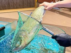 -许爷家·生态湖鲜(徐汇日月光店)