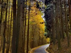-山王坪喀斯特国家生态公园