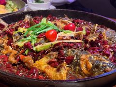 -老板恋上鱼(恒隆广场店)