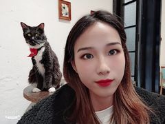 -猫色咖啡·猫咖