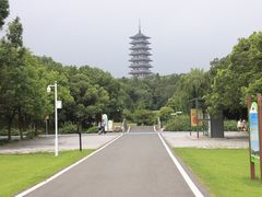 -宜兴龙背山森林公园