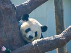-无锡动物园·太湖欢乐园