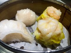 虾饺-糖朝(尖沙咀店)