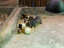 -宝燕乐园(闵行旗舰店)