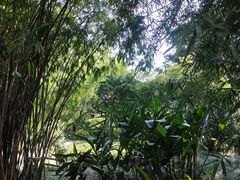 -晓港公园