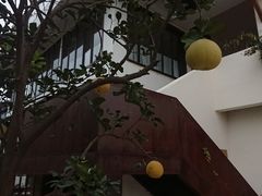 -悦哉·派对·草坪婚礼·围炉煮茶(三圣乡店)