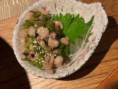 芥末章鱼-酒井酱子·深夜食堂(东城汇店)