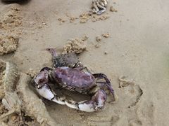 -惠州金海湾嘉华度假酒店