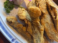 -老雒阳面馆·水席(洛宁高速路口店)