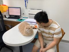 -心仪动物医院·牙专科·肿瘤·心脏科(西客站院)