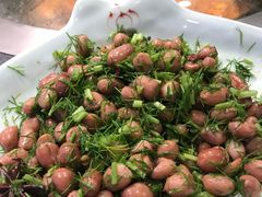 茴香花生米-挂雪铁锅炖大鹅