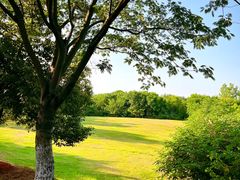 -盘龙城国家考古遗址公园