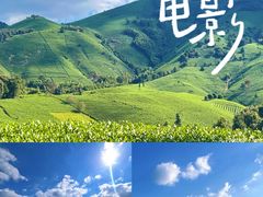 -阿露佳·舌尖上的安吉菜