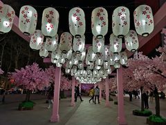 -金茂览秀城