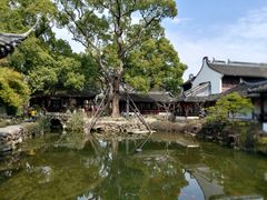-上海醉白池公园