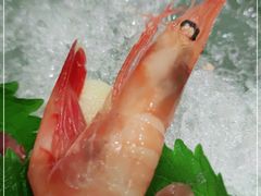 -季玄精致日本料理自助餐(闸北公园店)