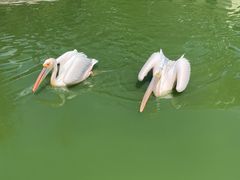 -昆明动物园