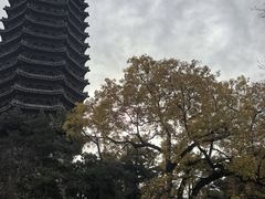 -博雅塔