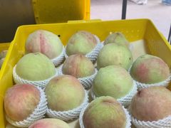 -老袁家蜜桃农场·阳山水蜜桃