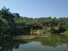 -南宁南湖公园