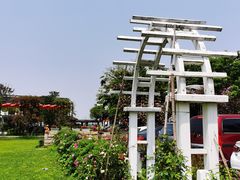 -鹅湖玫瑰文化园
