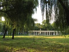 -中国中医科学院望京医院(院本部)