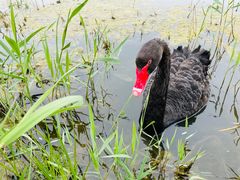 -天津东丽湖风景区