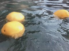 -裕龙汤泉
