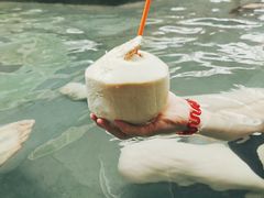 -天目湖御水温泉·度假酒店