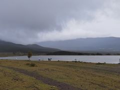 -玉湖村