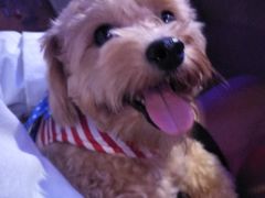 -蛙来哒(金沙洲万达店)