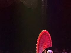 -珠海横琴长隆《卡卡虎奇遇记》