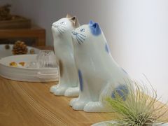 -猫里有甜