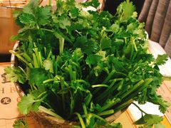 香菜-牛记皇鲜牛肉火锅(环球度假区梨园店)