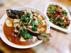-煲来饱去冷水鱼