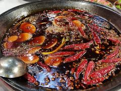 -青年火锅(吾悦广场直营店)