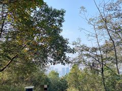 -桃花岭景区