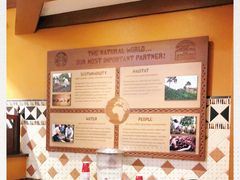 -奥兰多迪士尼动物王国乐园