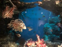 -鹿儿岛水族馆