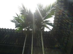 android_upload_pic-东莞市可园博物馆