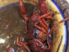 -怪怪龙虾·澳洲蓝龙王·深夜食堂(惊驾路店)
