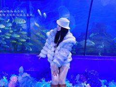 -重庆欢乐海底世界